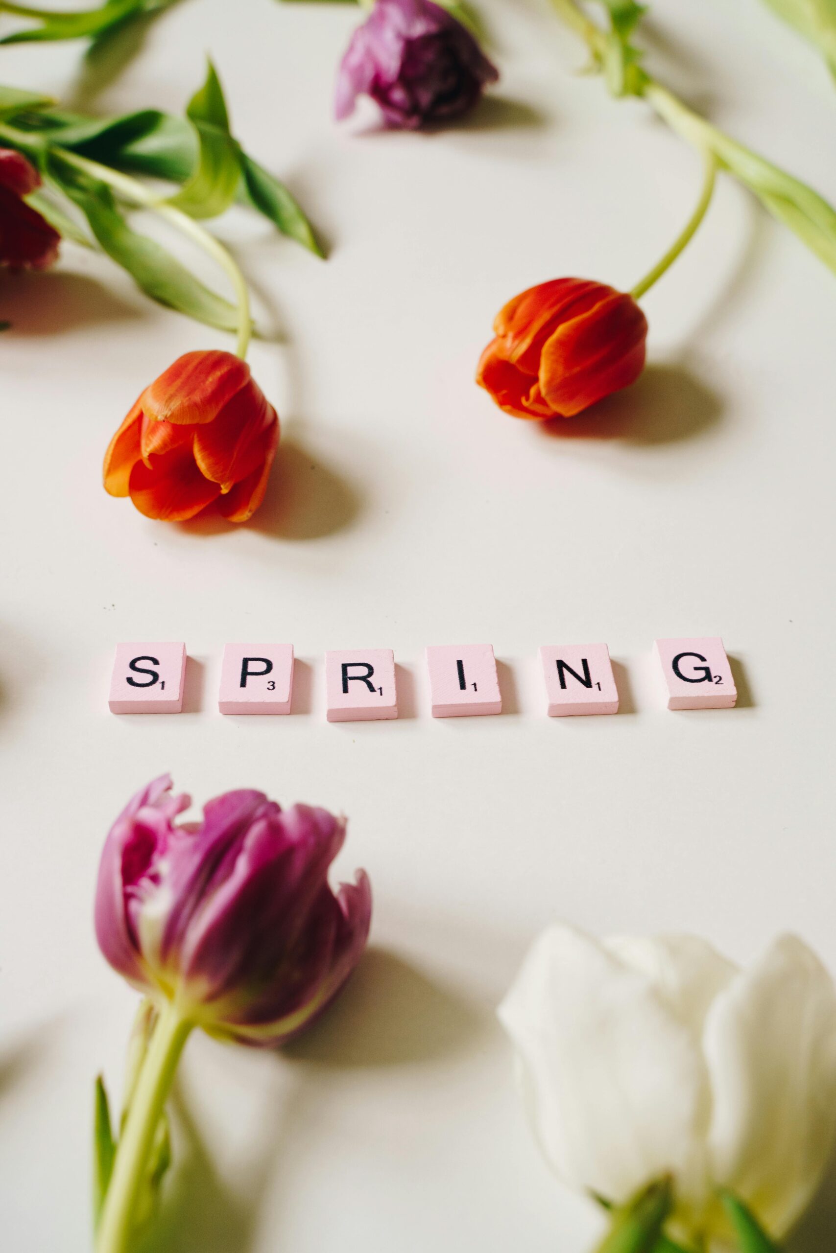 Top 5 Spring Outdoor Activities to Embrace the Season